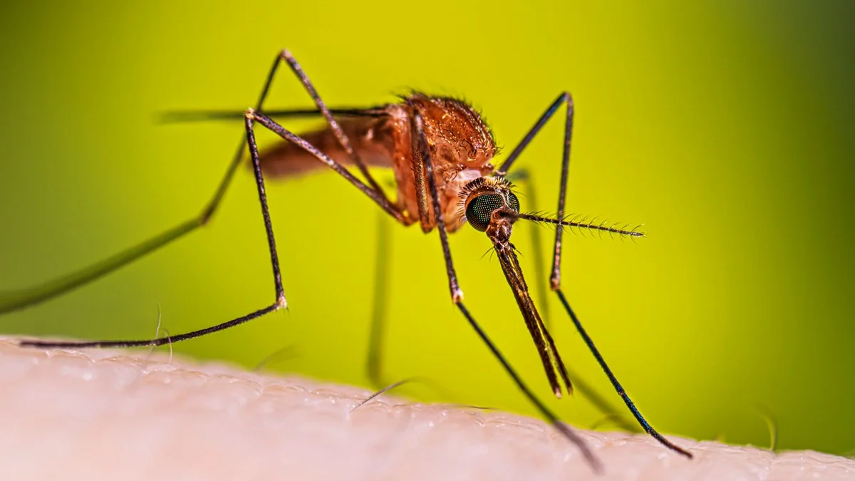 500 Christian leaders trained as malaria ambassadors