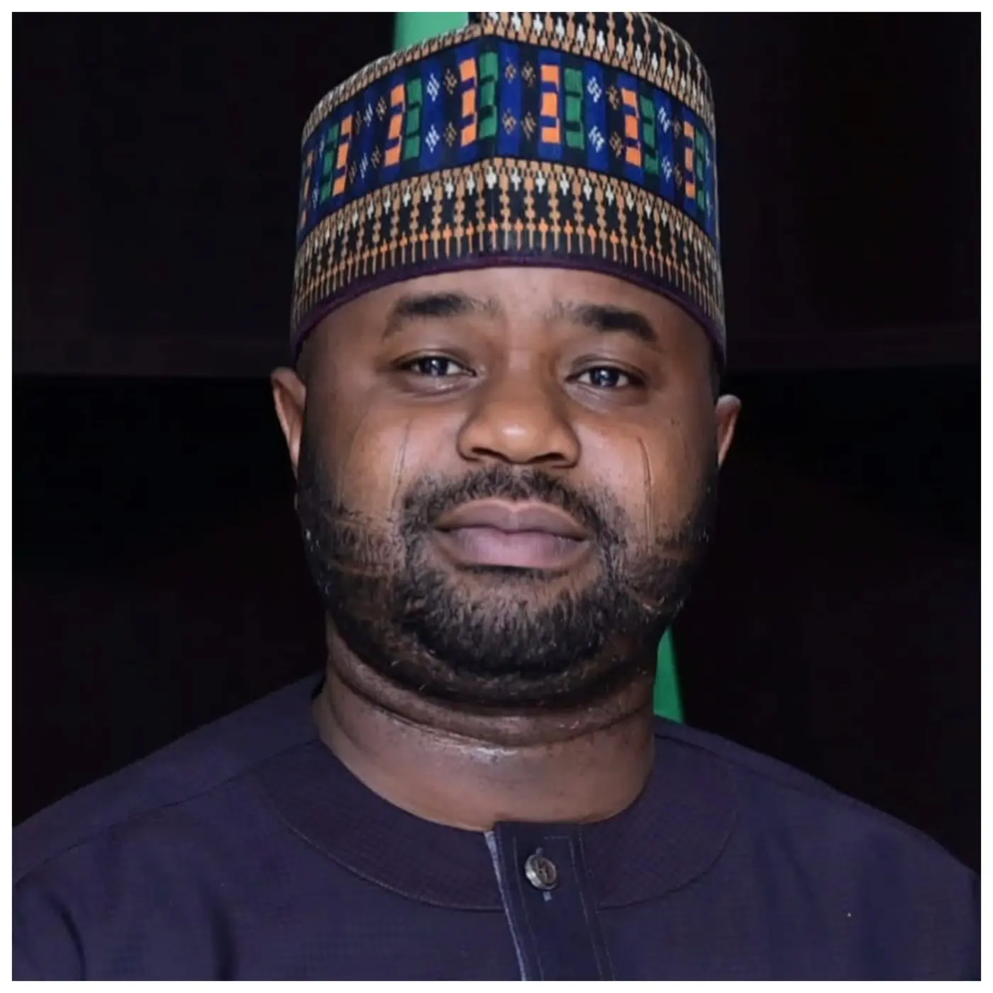 Adedeji - Nigeria's debt addiction is healthy
