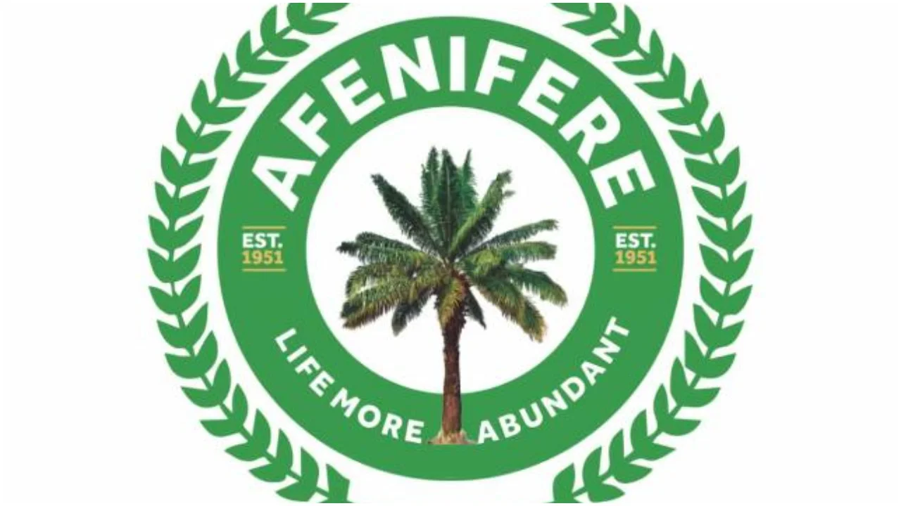 Afenifere Warns Nigeria Democracy Hanging by Thread