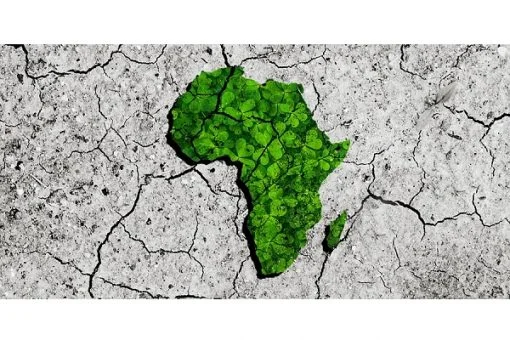 Africa’s easiest tax regimes for startups revealed