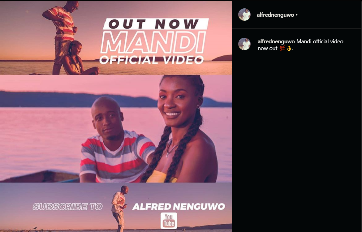 Alfred Nenguwo - 'Mandi' (Music Video).png