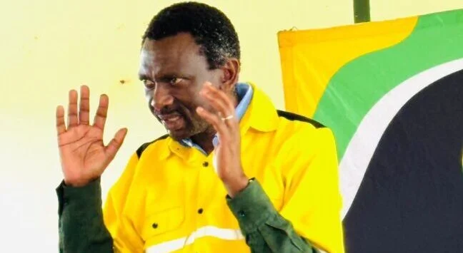 ANC orders Mdaka to dump KZN deputy post
