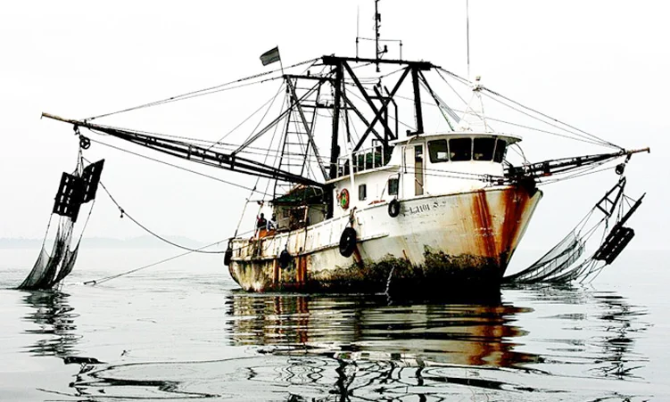 Angola Border Pirates Hijack Namibia's Fish Haul
