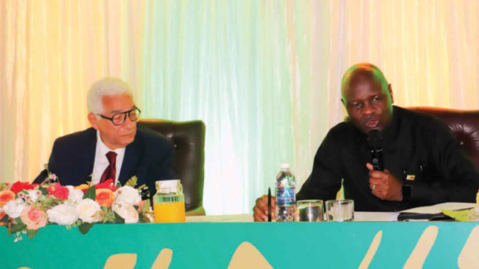 APRM's Aly-El Hefny denies judging Zimbabwe