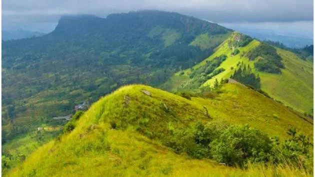 Army and police rescue eight youths stranded on the Hantana mountains in fog