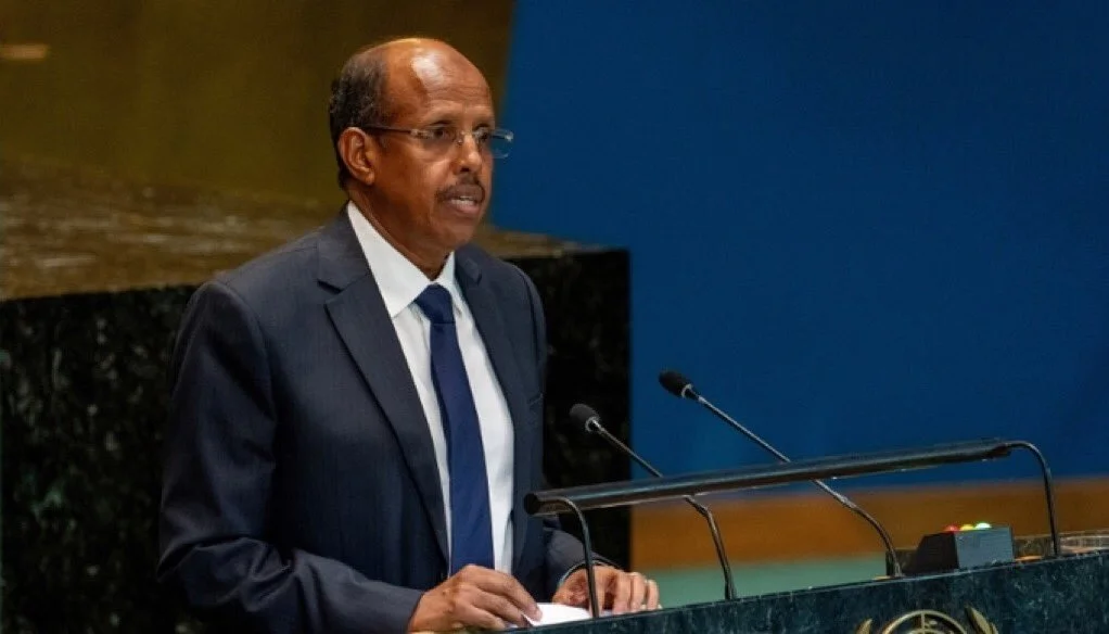 AU warns of deepening crisis, calls for Mali action