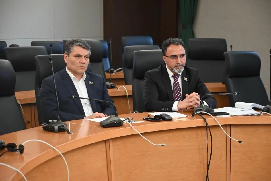 Azeri MPs Stoke Zim Trade Craze