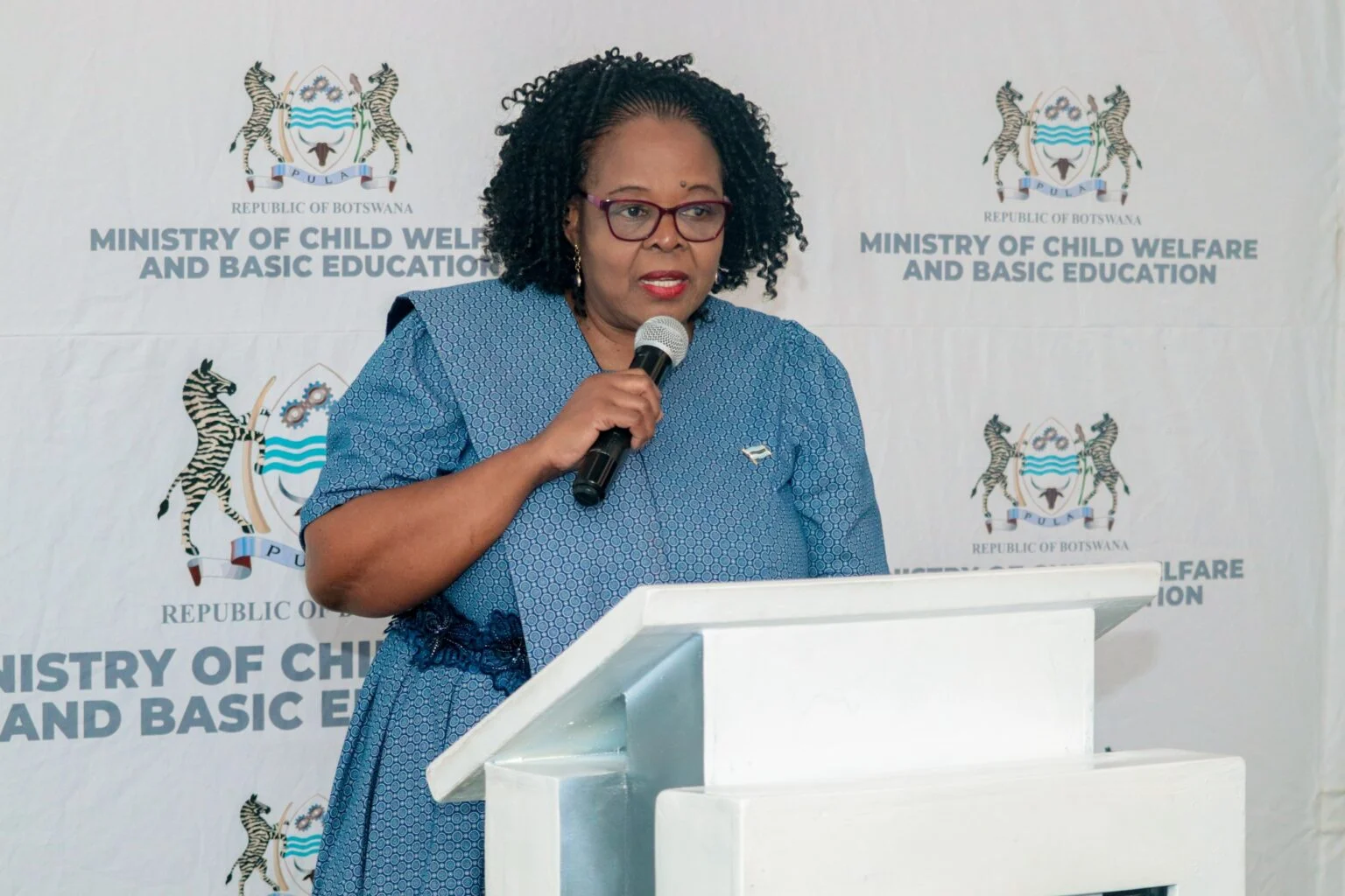 Botswana Minister Mokoka pushes joint heritage protection
