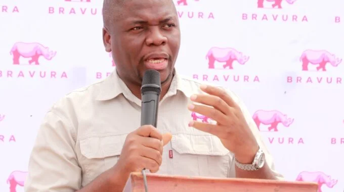 Bravura Cheers Mnangagwa as It Sets Up Two Mines