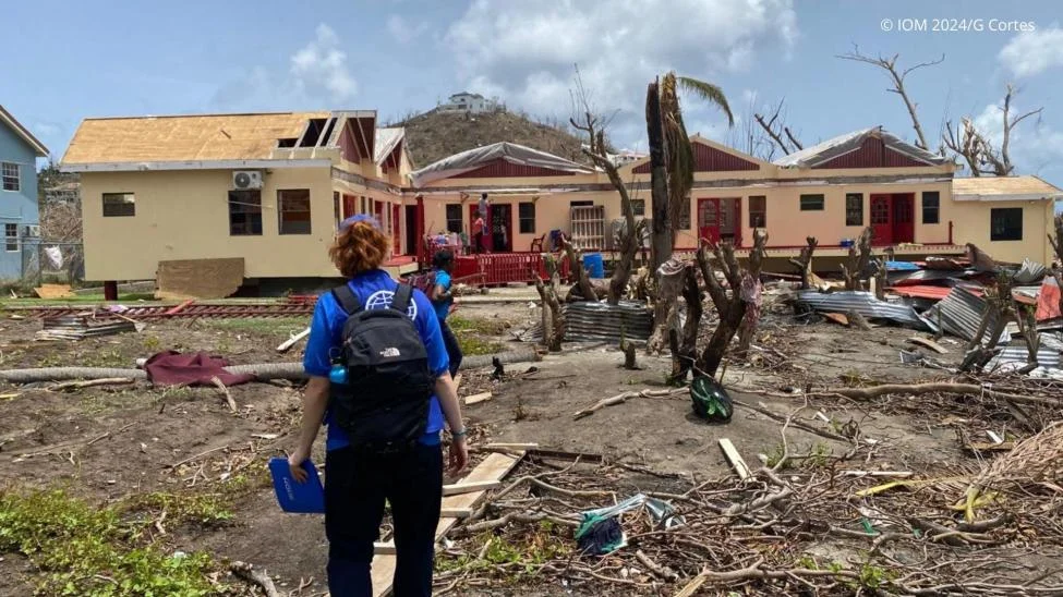 Caribbean shelter group flexes WhatsApp power