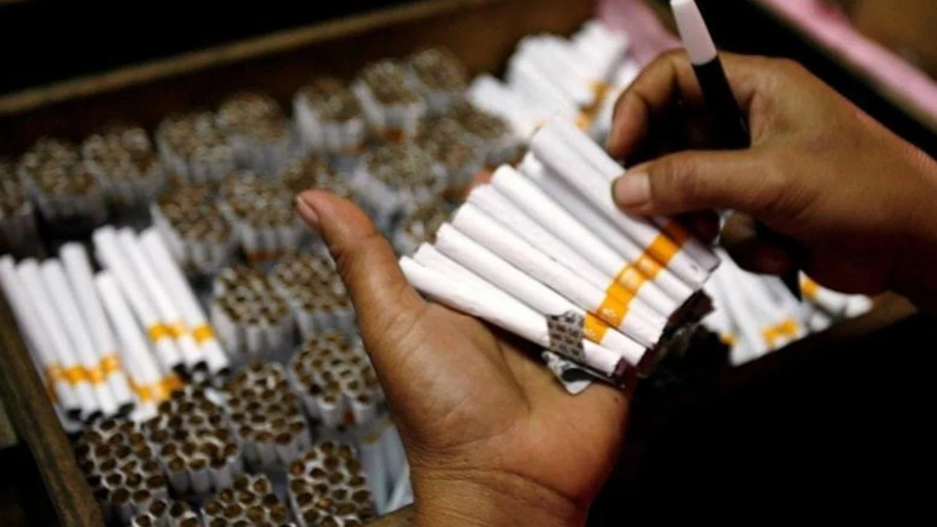 Cassino bunker factory pumps out billions in fake smokes