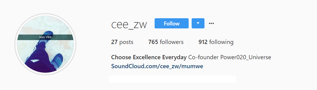 Cee_ZW - Choose Excellence Everyday.png
