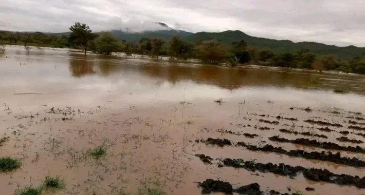 Chitipa floods wreck farms, roofs, and hope