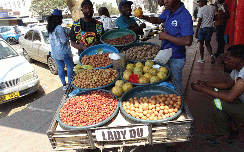 Climate Change and Human Pressure Threaten Zimbabwe's Wild Fruit Trees