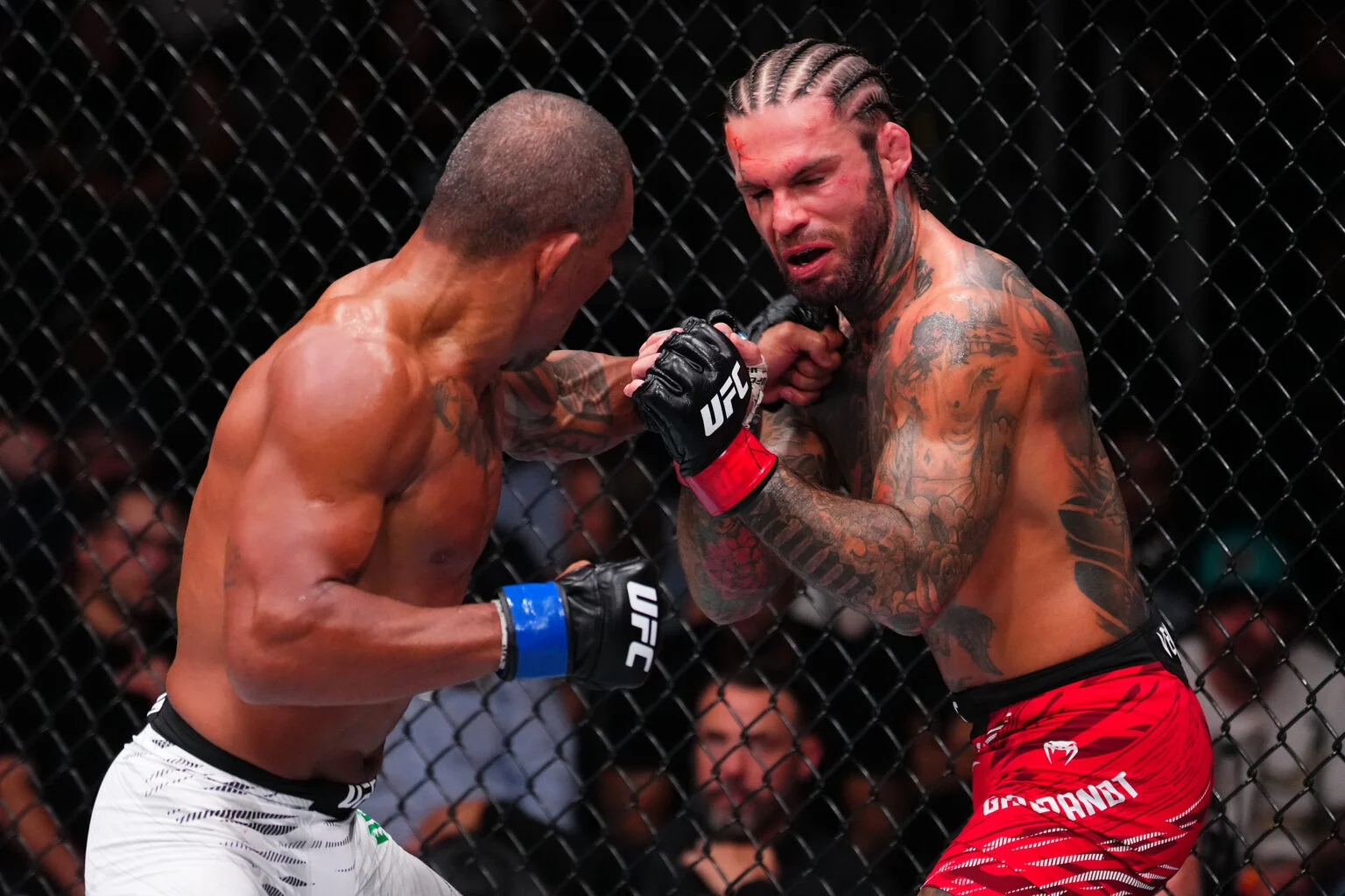 Cody Garbrandt Crumbles Against Unranked Challenger