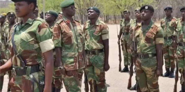Committee backs ZDF entry into govt tenders to raise funds