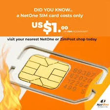 Dealer Dupes Netone with 36 Fake SIM Lines