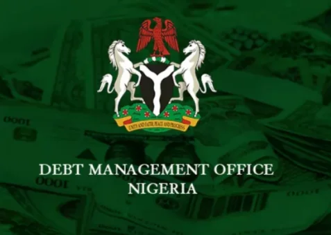 DMO slaps states - Borrow by the book or bust