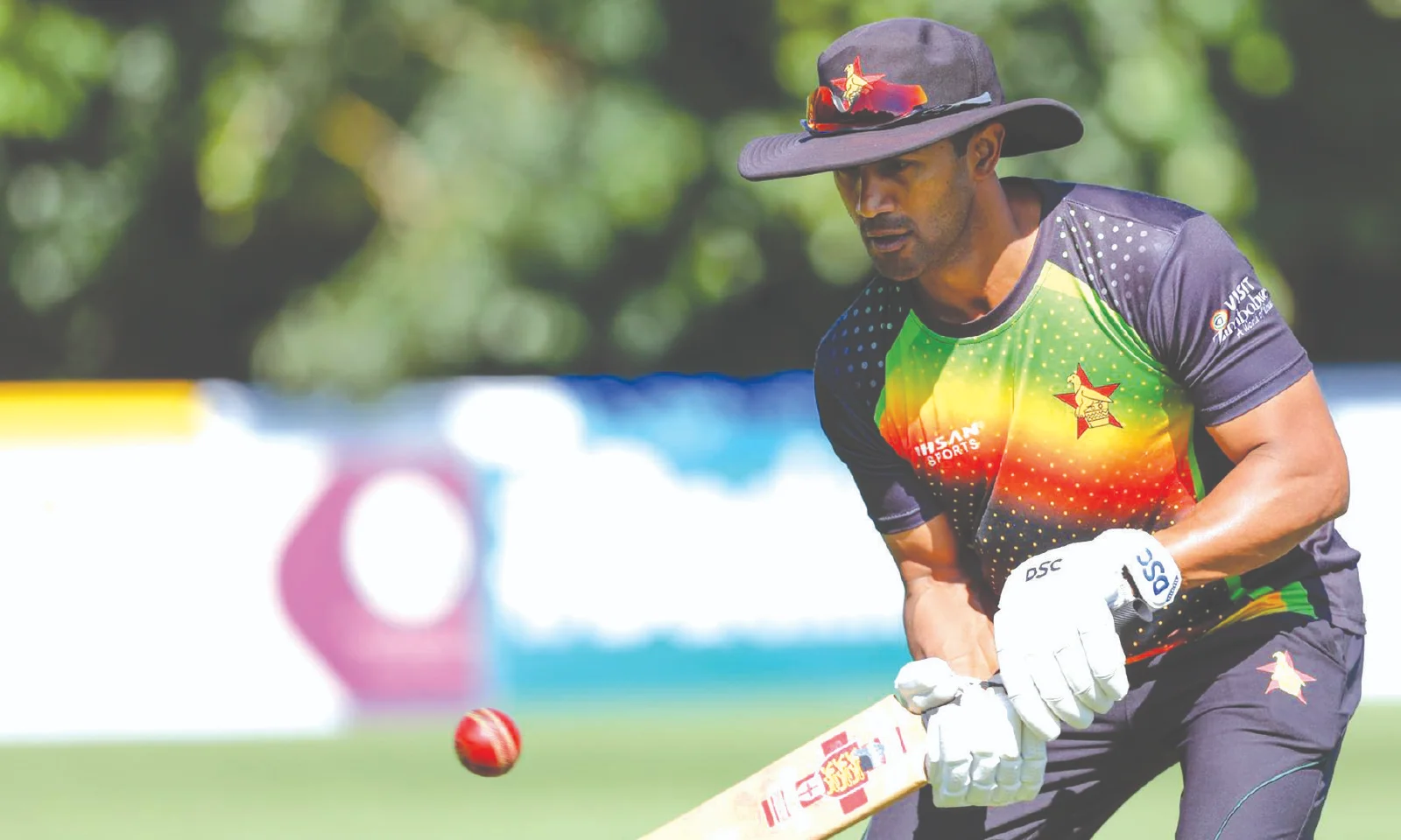 Domestic cricket returns with Logan Cup action