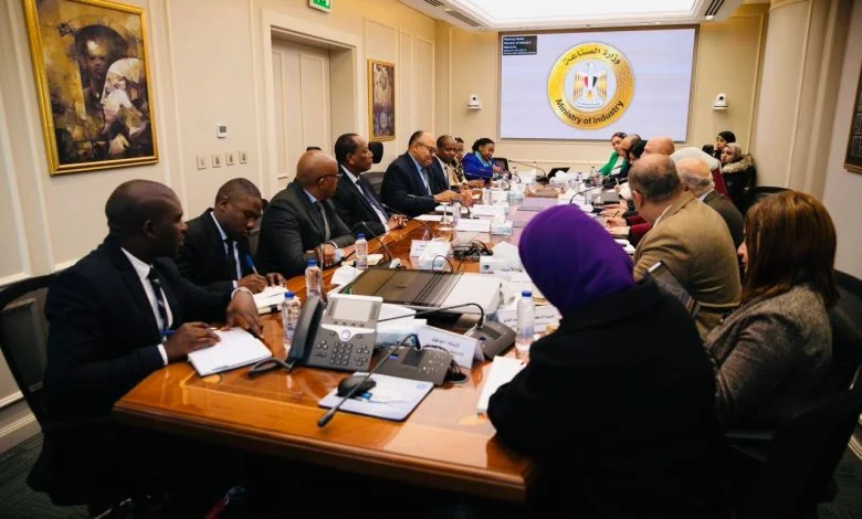 Egypt eyes Tanzanian industrial boom, eyes Kwala site