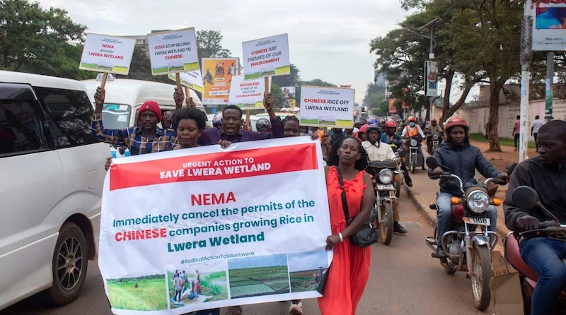 Eight held as Lwera wetland bleeds