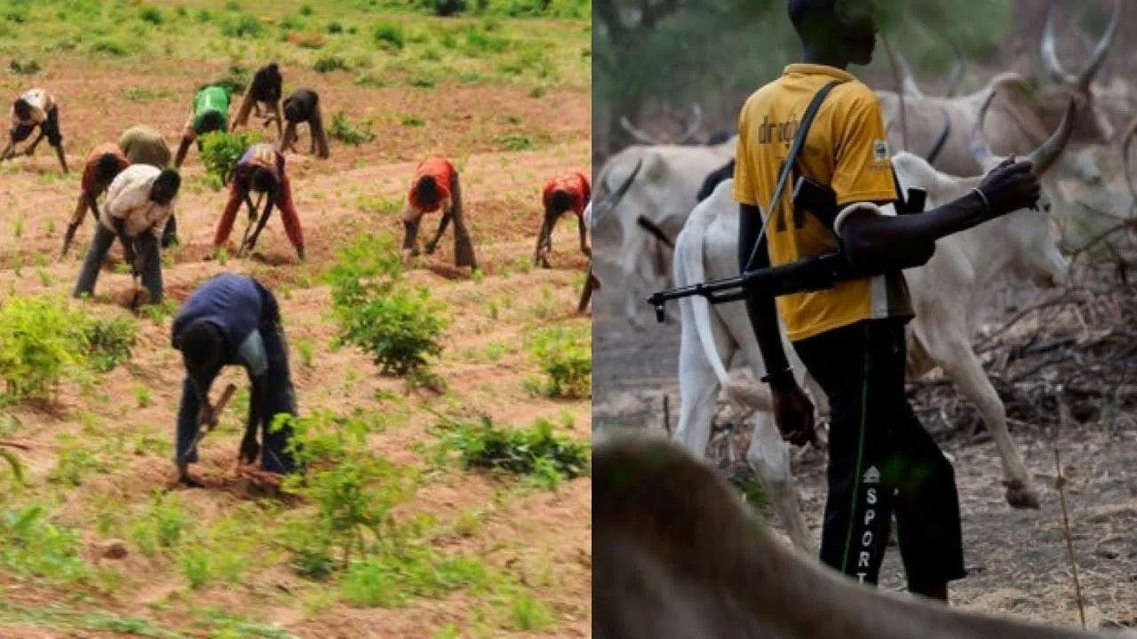 Farmers Demand Cattle Profiling to Crush Herders Crisis