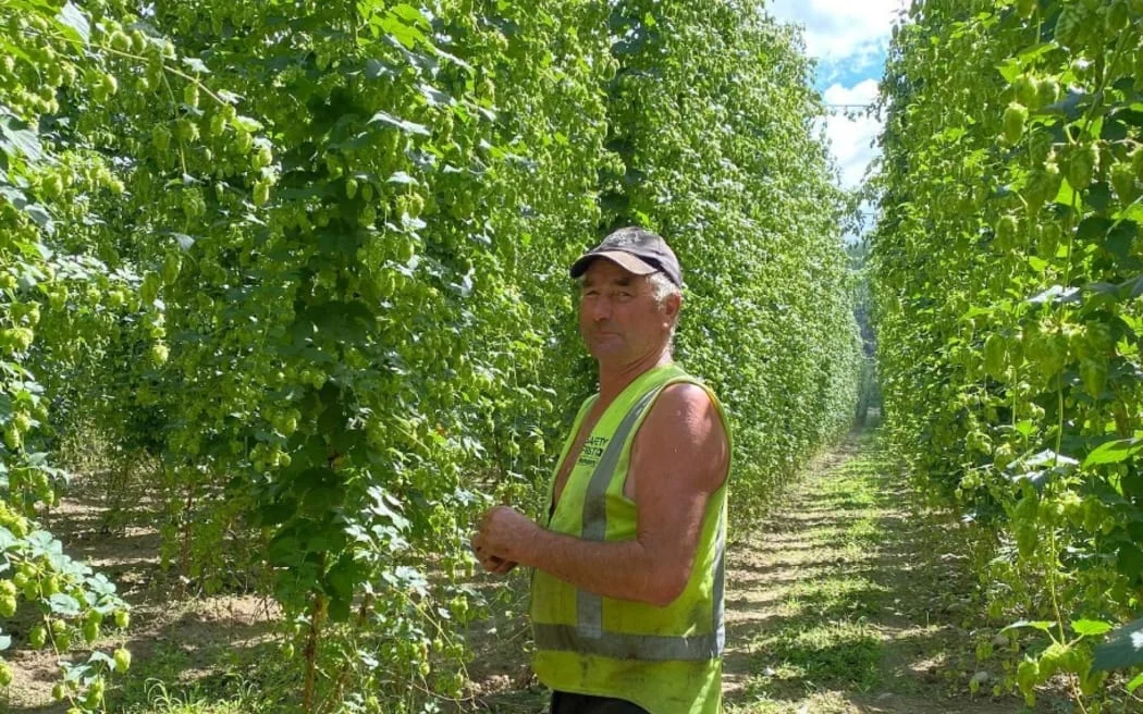 Fifth Generation Hop Farmer Killed by Falling Tree During Wai-iti Flood Cleanup