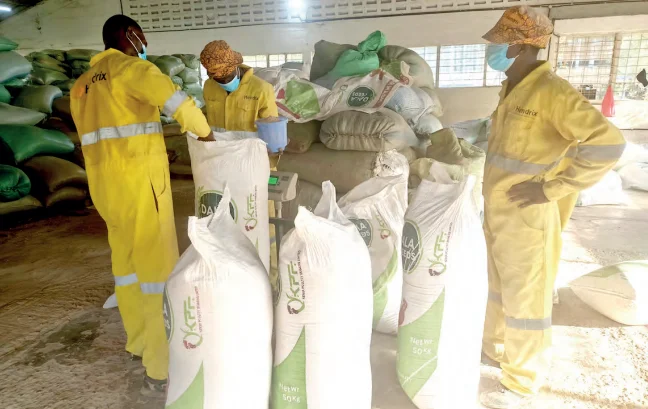 From Backyard Chickens to Agribusiness Success
