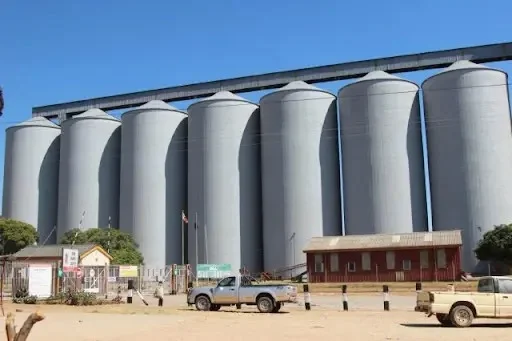 GMB gets ZiG60m and US$5m to pay farmers