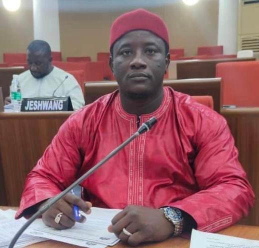 Jammeh's talk turns the Assembly loud zone
