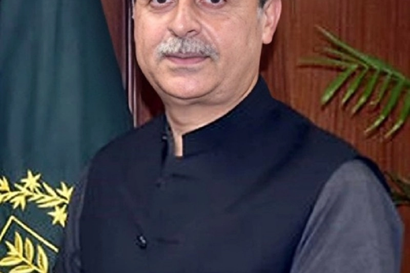 Junaid Anwar touts Sindh Delta Blue Carbon project as mangrove revenue leader