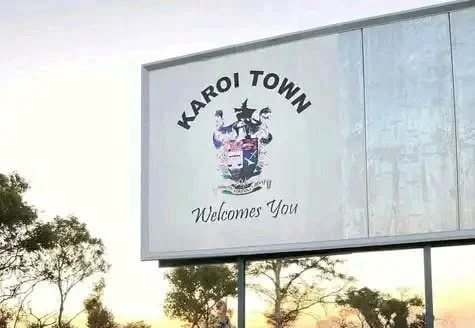 Karoi Council Paid for Harnesses But Received Only Paper