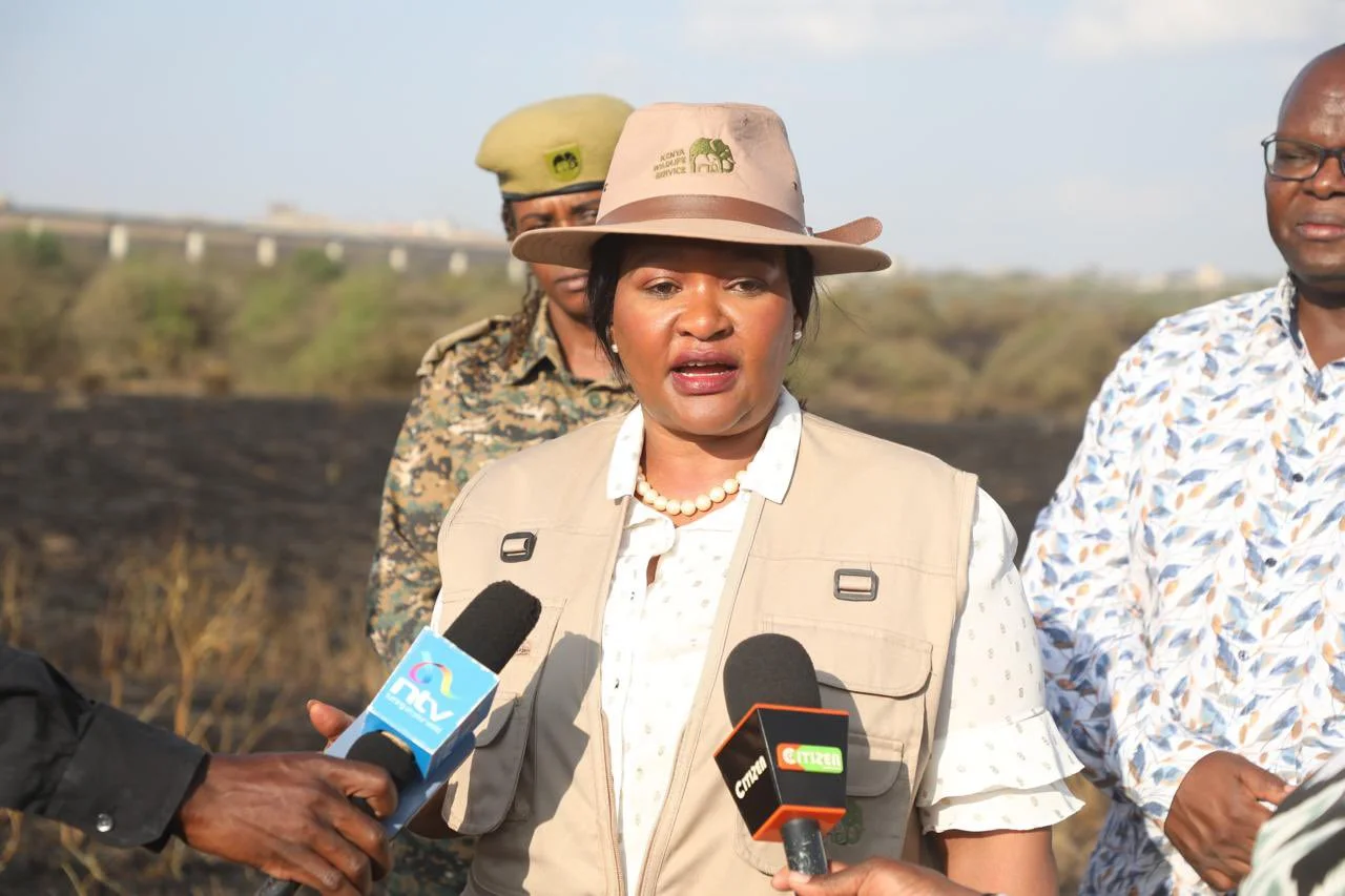 Kenya Contains Park Fires with Human Activity as Suspected Cause