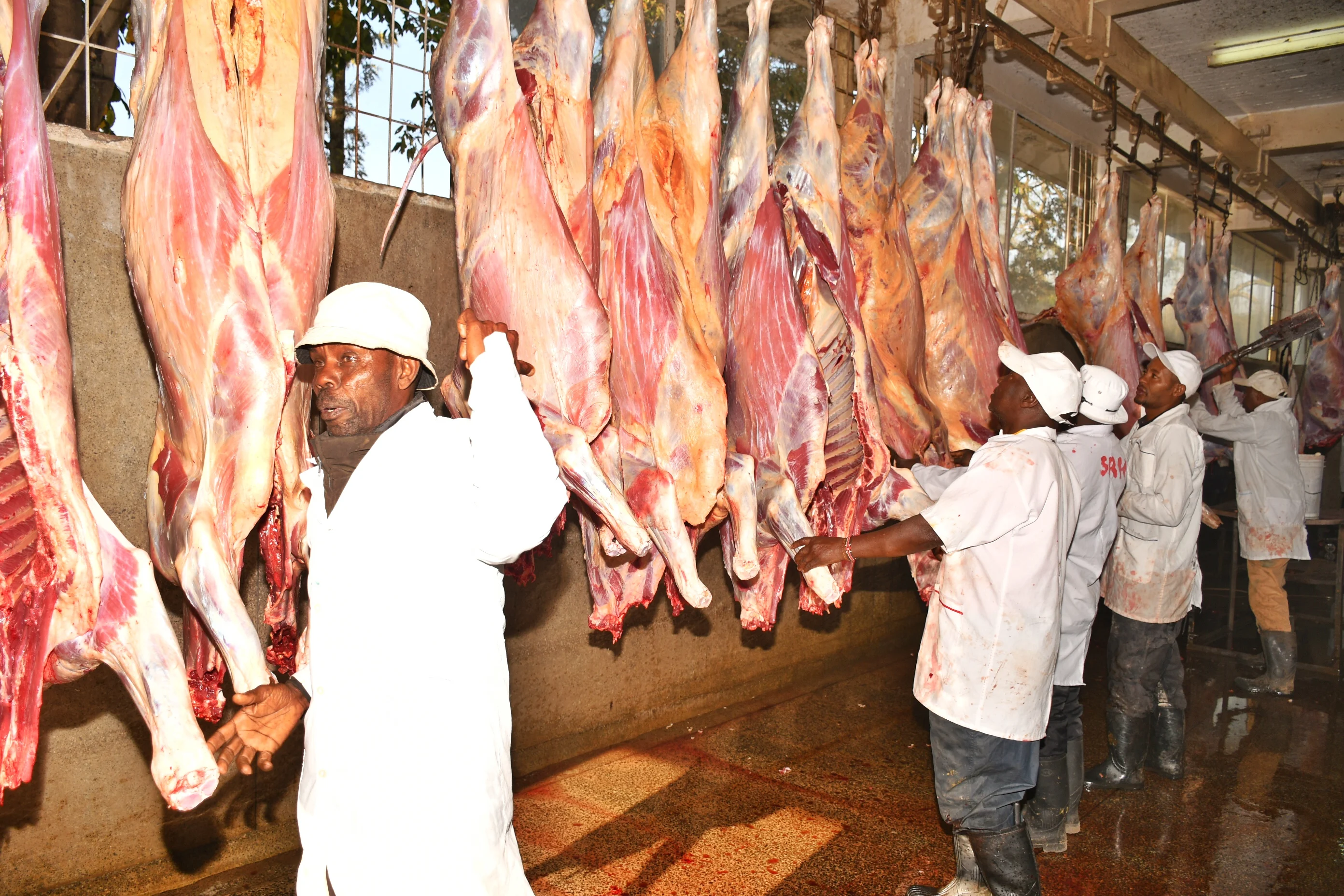 Kenya eyes Asia to grow booming meat export sector