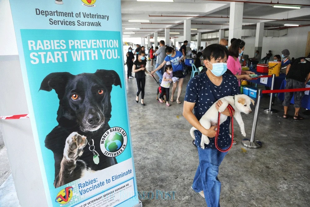 Kuching mayor troubled by rising rabies cases in Sarawak divisions
