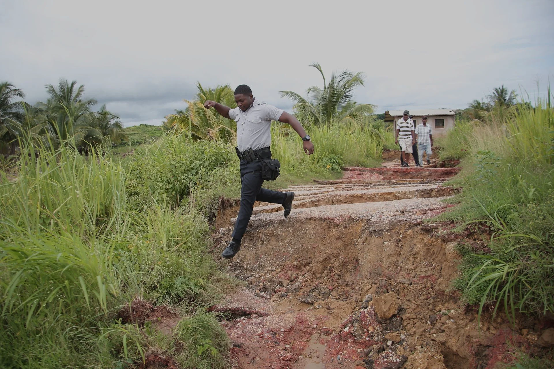 Land Shakes, Crops Suffer - Los Iros Farmers Face Total Devastation