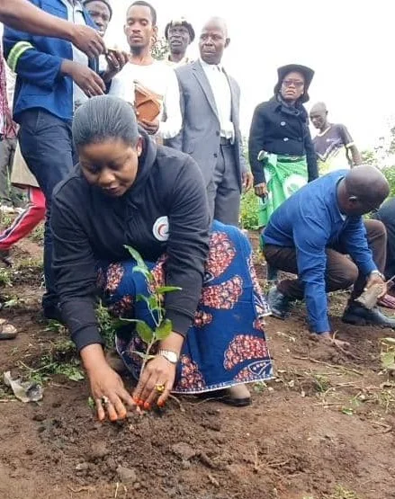 MAGLA Invests K10M in Dzenza Mountain Reforestation Effort