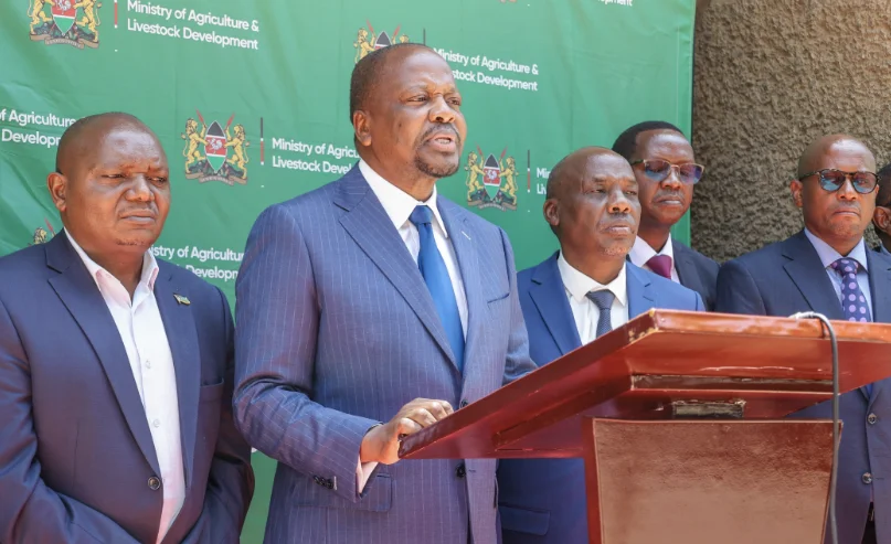 Maize Rescue as Gov Floods Market with 200K Bags