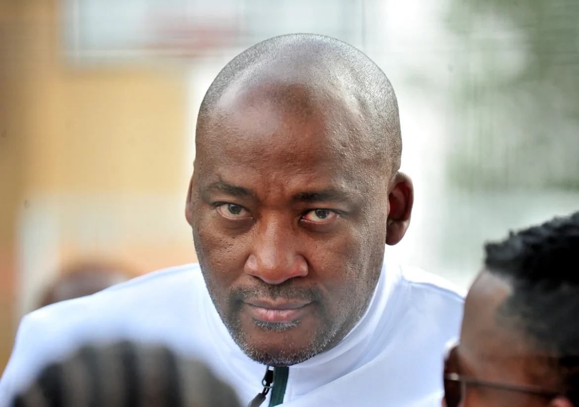 McKenzie blasts Zille over Zuma funding, defends Sibiya