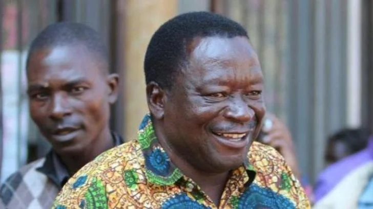 Mnangagwa recalls Matemadanda from Mozambique in purge