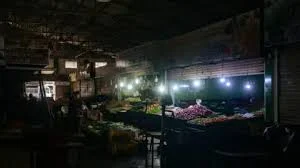 Monkey Mischief Knocks Out Sri Lanka Power Grid