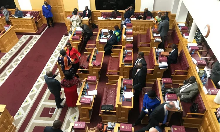 MPs Gasp as N$398m Budget Wins Approval