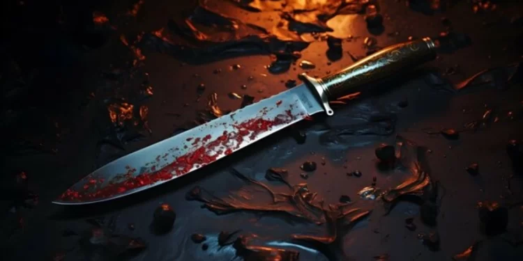 Mpumelelo Masuku gives patron 8 stabs and a brick facial