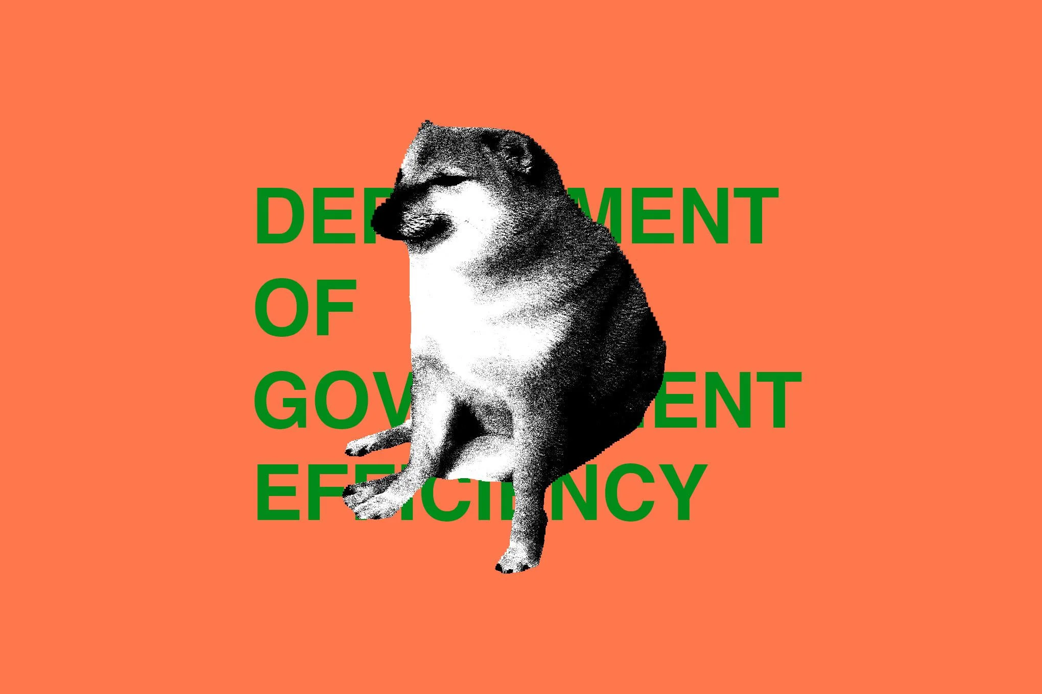 Musk’s Department of Government Efficiency dissolved after chaos