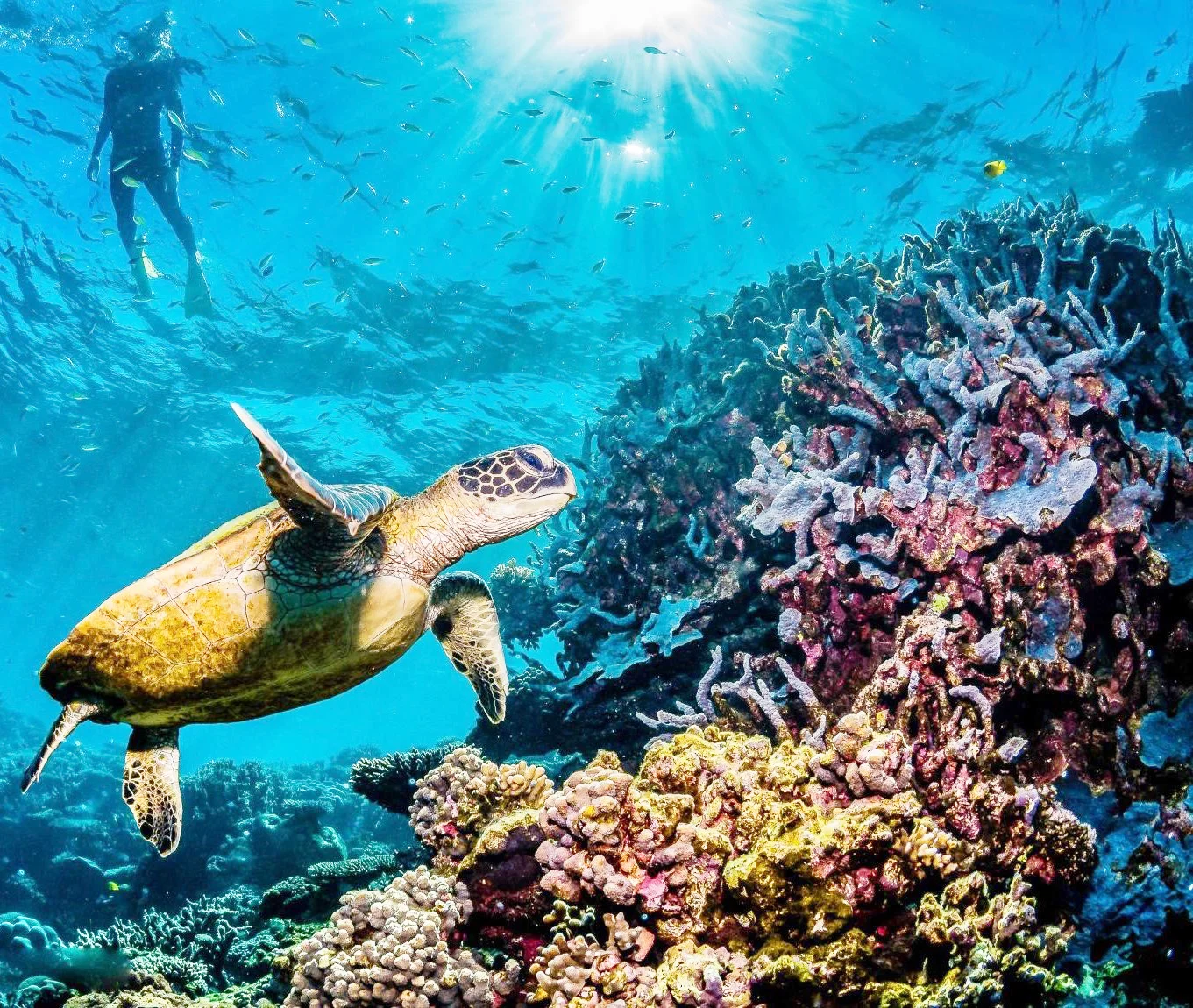 Namibia misses the sea treaty as govt preps for legal checks