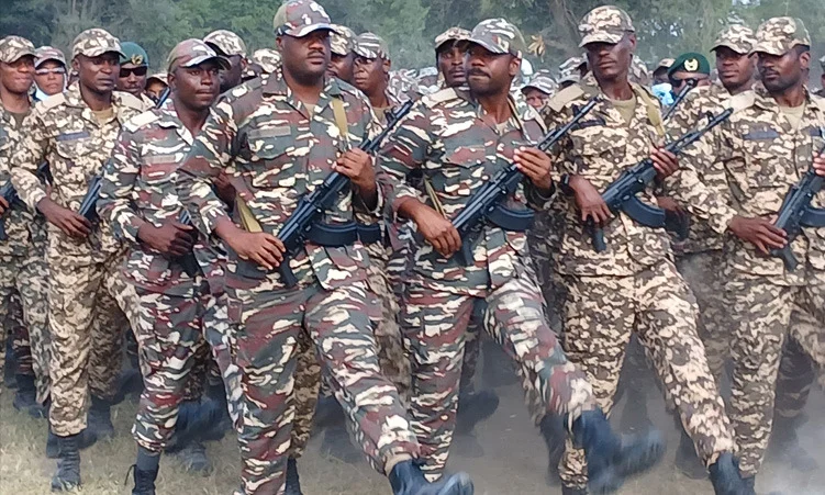 Namibia Undecided on Troop Deployment to DRC