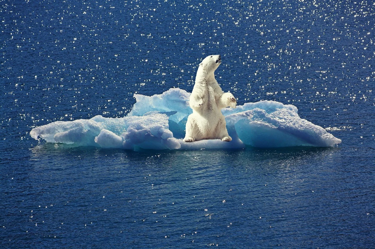 Paris deal gets legal teeth, climate laggards face courtroom heat