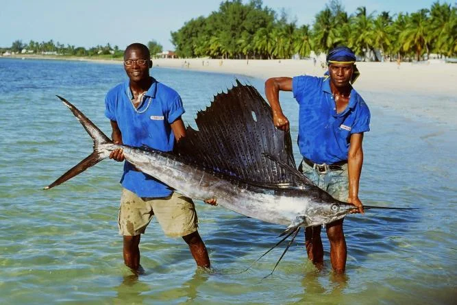 Pemba fishers seek fisheries college