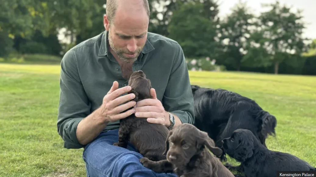 Prince William Marks 43rd Birthday with Photo of Puppies