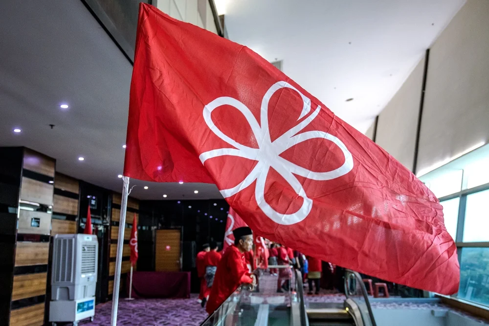 Raub and Lipis Bersatu divisions dissolve over leadership woes
